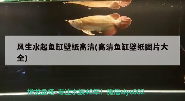 天津魚(yú)缸廠