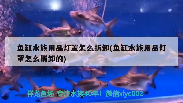 魚缸水族用品燈罩怎么拆卸(魚缸水族用品燈罩怎么拆卸的) 水族用品