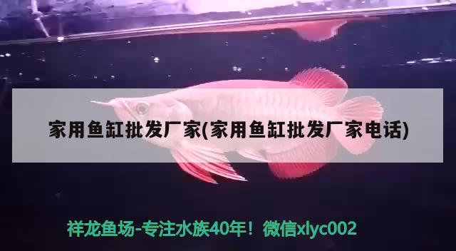 家用魚(yú)缸批發(fā)廠家(家用魚(yú)缸批發(fā)廠家電話) 泰國(guó)虎魚(yú)