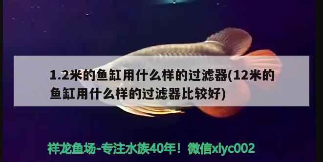 一米二的魚缸有多重（一米二的魚缸大概有多重） 藍帆三間魚 第1張