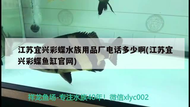 江蘇宜興彩蝶水族用品廠電話多少啊(江蘇宜興彩蝶魚缸官網(wǎng)) 水族用品