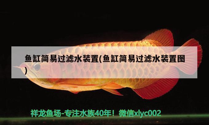 魚缸簡(jiǎn)易過(guò)濾水裝置(魚缸簡(jiǎn)易過(guò)濾水裝置圖) 祥龍魚場(chǎng)其他產(chǎn)品