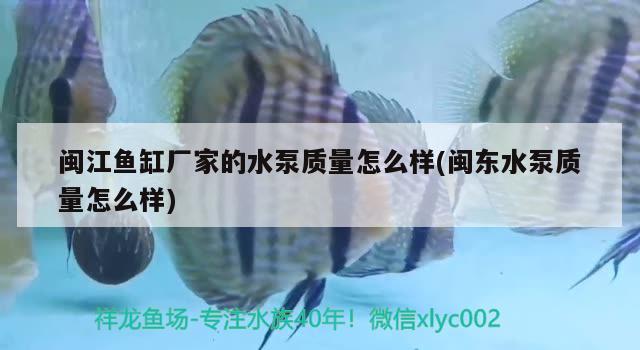 閩江魚缸廠家的水泵質(zhì)量怎么樣(閩東水泵質(zhì)量怎么樣) 雙線側(cè)魚