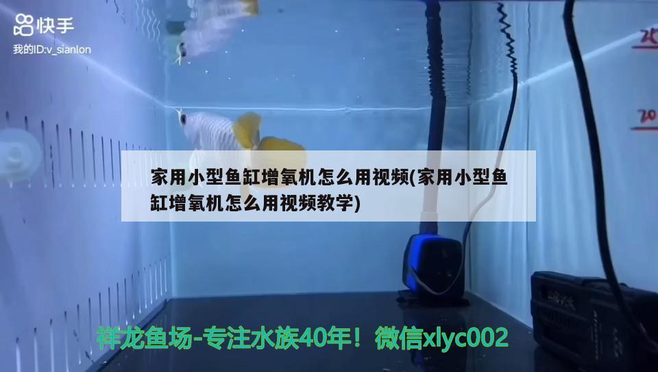 家用小型魚缸增氧機怎么用視頻(家用小型魚缸增氧機怎么用視頻教學) 紅龍專用魚糧飼料