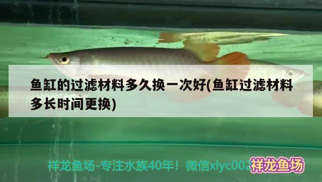 魚缸的過濾材料多久換一次好(魚缸過濾材料多長時間更換)