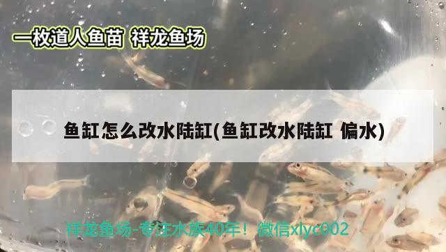 魚缸怎么改水陸缸(魚缸改水陸缸偏水) 龍魚批發(fā)