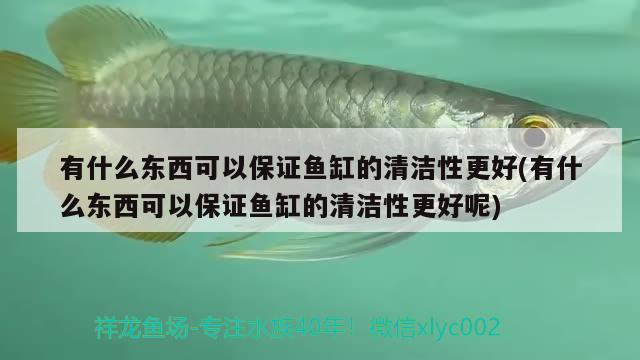 有什么東西可以保證魚缸的清潔性更好(有什么東西可以保證魚缸的清潔性更好呢) 委內(nèi)瑞拉奧里諾三間魚苗