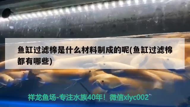 龍魚(yú)麻醉方法視頻教程大全及龍魚(yú)麻醉方法視頻教程大全及下載，龍魚(yú)麻醉方法視頻教程大全