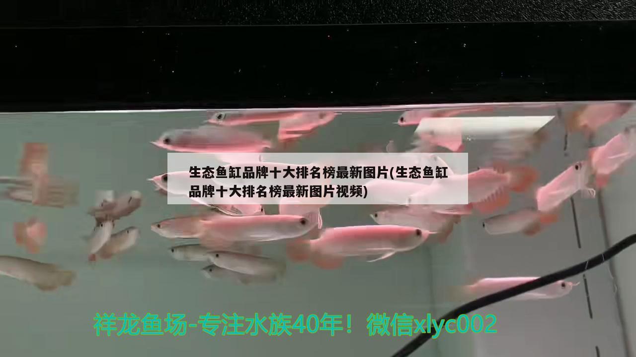 生態(tài)魚缸品牌十大排名榜最新圖片(生態(tài)魚缸品牌十大排名榜最新圖片視頻)