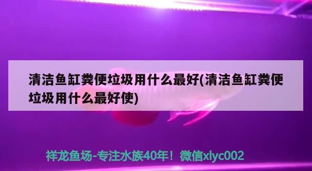 清潔魚缸糞便垃圾用什么最好(清潔魚缸糞便垃圾用什么最好使) 杰西卡恐龍魚