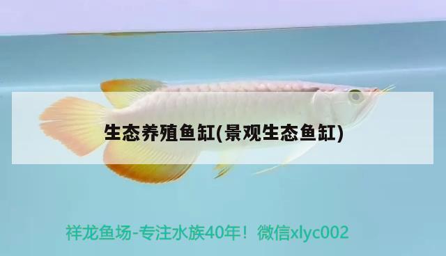 生態(tài)養(yǎng)殖魚缸(景觀生態(tài)魚缸)