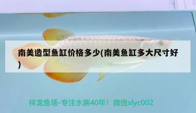 南美造型魚缸價(jià)格多少(南美魚缸多大尺寸好) 野彩魚