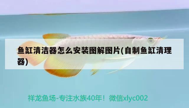 魚缸清潔器怎么安裝圖解圖片(自制魚缸清理器)