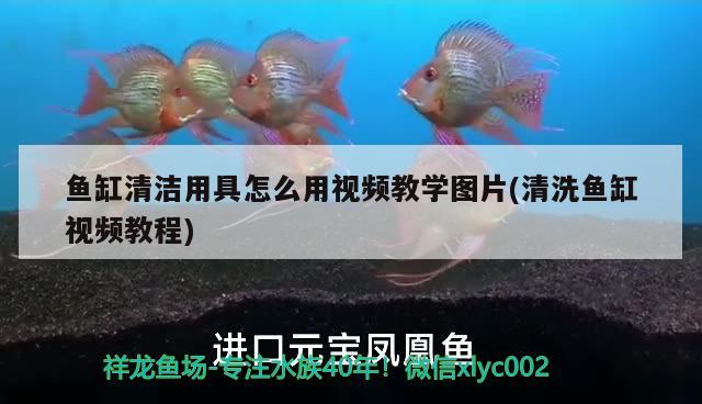 魚缸清潔用具怎么用視頻教學(xué)圖片(清洗魚缸視頻教程) 一眉道人魚