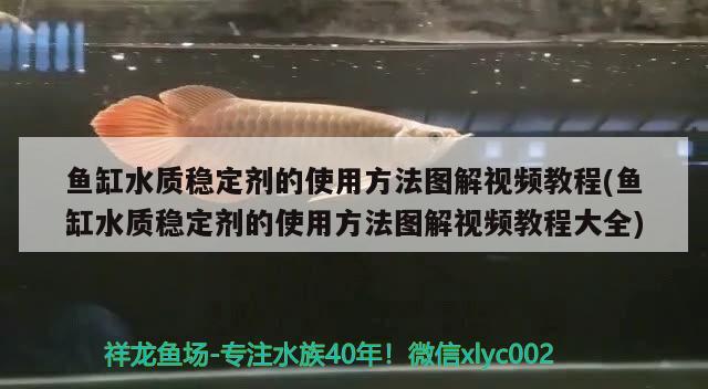 魚缸水質(zhì)穩(wěn)定劑的使用方法圖解視頻教程(魚缸水質(zhì)穩(wěn)定劑的使用方法圖解視頻教程大全) 巴西亞魚苗