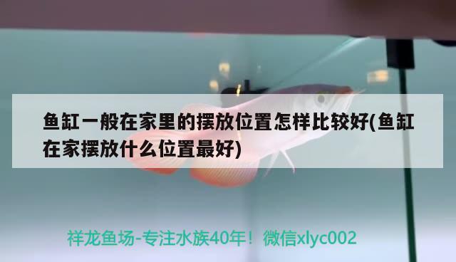 魚缸一般在家里的擺放位置怎樣比較好(魚缸在家擺放什么位置最好) 祥龍魚場(chǎng)其他產(chǎn)品