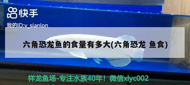 金魚飼料觀賞魚小型魚蘭壽泰獅專用魚食不渾水高螺旋藻小顆粒魚糧，小型魚蘭壽泰獅的飼養(yǎng)方法 其它水族用具設(shè)備 第3張