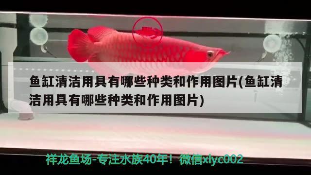 魚(yú)缸壁掛過(guò)濾器安裝圖解（魚(yú)缸過(guò)濾器三合一凈水循環(huán)怎么安裝） 祥龍超血紅龍魚(yú) 第1張