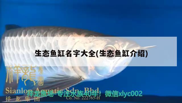 生態(tài)魚缸名字大全(生態(tài)魚缸介紹)