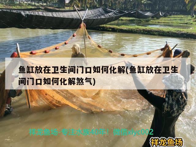 魚缸放在衛(wèi)生間門口如何化解(魚缸放在衛(wèi)生間門口如何化解煞氣) 其它水族用具設(shè)備