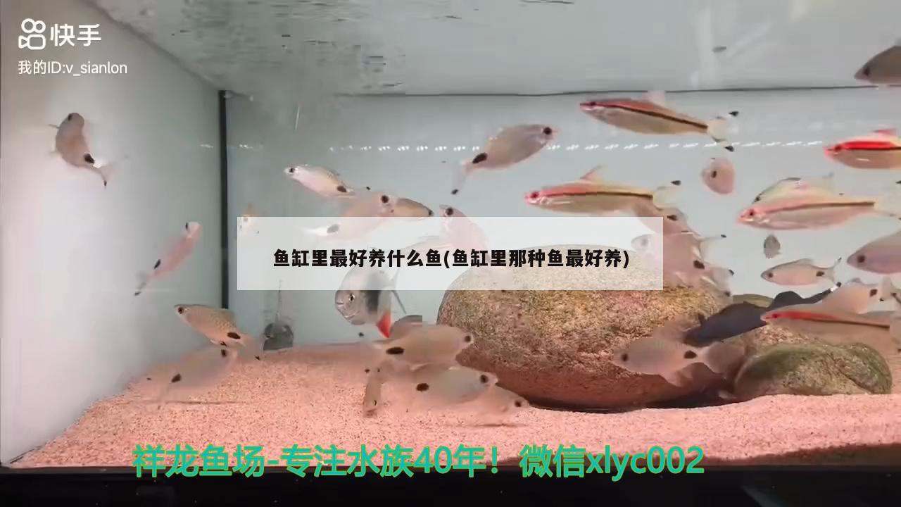 太原魚(yú)缸定制（太原魚(yú)缸定制廠家）