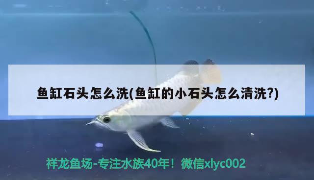 魚缸石頭怎么洗(魚缸的小石頭怎么清洗?) 魚缸風(fēng)水