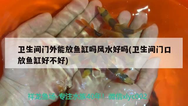 衛(wèi)生間門外能放魚缸嗎風水好嗎(衛(wèi)生間門口放魚缸好不好) 魚缸風水