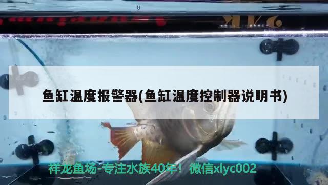 黑食水虎品種大全：水虎黑斑什么屬性 食人魚（水虎） 第3張