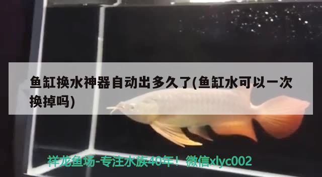 紅龍魚，金龍魚貴還是金龍魚貴，紅龍魚貴是金龍魚貴還是金龍魚貴還是金龍魚貴龍魚貴 黑白雙星 第1張