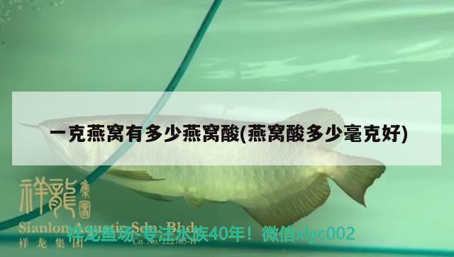 金龍魚(yú)擺件如何擺放，木雕金龍魚(yú)圖片大全和木雕金龍魚(yú)圖片大全，可以嗎