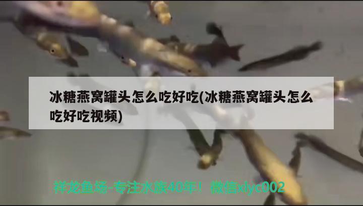 冰糖燕窩罐頭怎么吃好吃(冰糖燕窩罐頭怎么吃好吃視頻) 馬來(lái)西亞燕窩