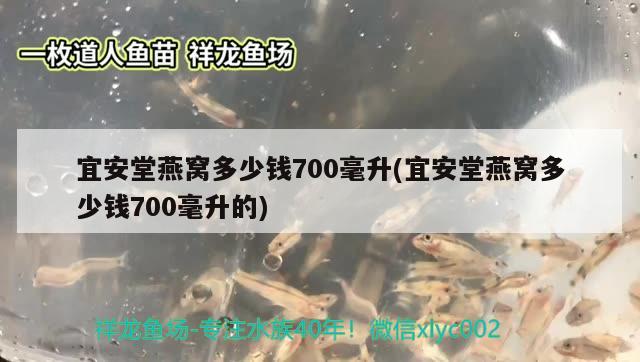 魚缸可以用消毒粉來消毒嗎為什么（魚缸可以用消毒粉來消毒嗎為什么呢）