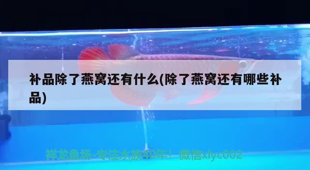 天冷了 魟魚百科 第3張