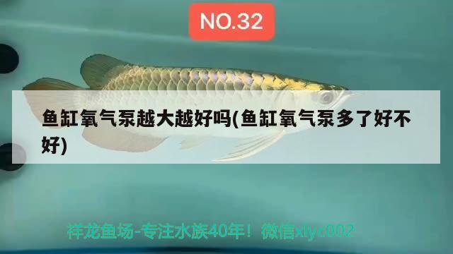 魚缸氧氣泵越大越好嗎(魚缸氧氣泵多了好不好)