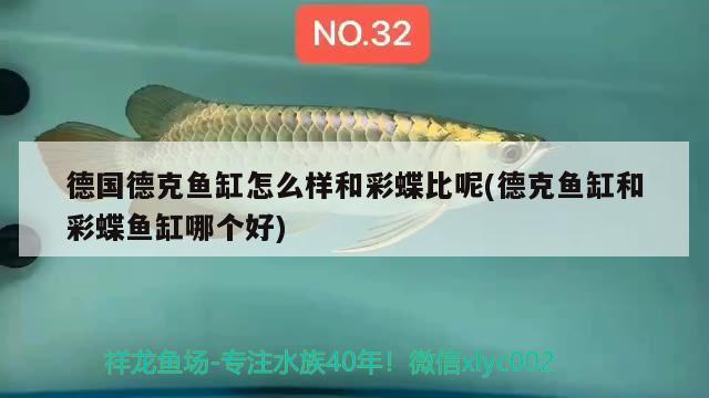 德國德克魚缸怎么樣和彩蝶比呢(德克魚缸和彩蝶魚缸哪個(gè)好) PH調(diào)節(jié)劑