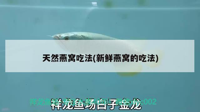 魚飼料品牌前五十名有哪些公司（魚飼料品牌前五十名有哪些公司上市） 觀賞魚飼料 第1張