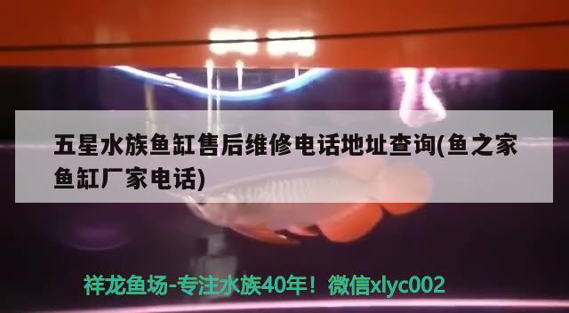 五星水族魚缸售后維修電話地址查詢(魚之家魚缸廠家電話)