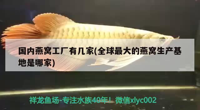 魚缸燈和普通燈的區(qū)別，三基色魚缸燈和普通燈有什么區(qū)別，魚缸燈和普通燈有什么區(qū)別 一眉道人魚苗 第2張