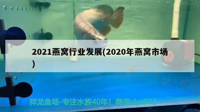 2021燕窩行業(yè)發(fā)展(2020年燕窩市場)