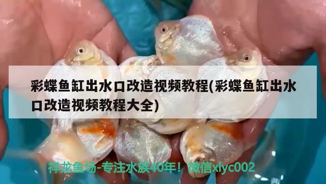 武進區(qū)橫林紅英觀賞魚店 全國水族館企業(yè)名錄 第1張