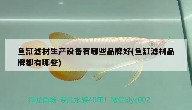 魚(yú)缸濾材生產(chǎn)設(shè)備有哪些品牌好(魚(yú)缸濾材品牌都有哪些) 熊貓異形魚(yú)L46