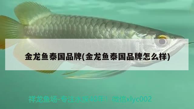 蚌埠二手魚缸號(hào)碼轉(zhuǎn)讓蚌埠二手魚缸號(hào)碼轉(zhuǎn)讓最新信息網(wǎng)站優(yōu)勢(shì)，蚌埠二手魚缸號(hào)碼轉(zhuǎn)讓