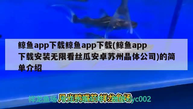 鯨魚app下載鯨魚app下載(鯨魚app下載安裝無限看絲瓜安卓蘇州晶體公司)的簡單介紹