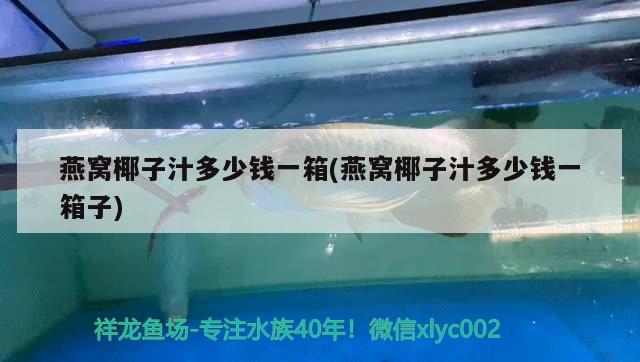 鄭州魚缸清洗就找鑫御景水族（鑫品水族魚缸）