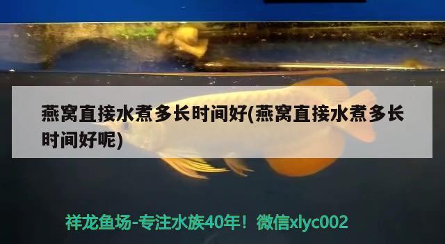 燕窩直接水煮多長時間好(燕窩直接水煮多長時間好呢) 馬來西亞燕窩