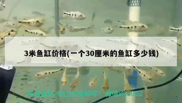 魚缸換氣泵不出氣泡了（魚缸氣泵不出泡泡怎么回事） 充氧泵 第1張