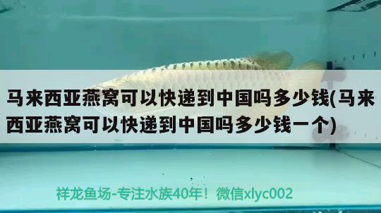 馬來西亞燕窩可以快遞到中國嗎多少錢(馬來西亞燕窩可以快遞到中國嗎多少錢一個) 馬來西亞燕窩