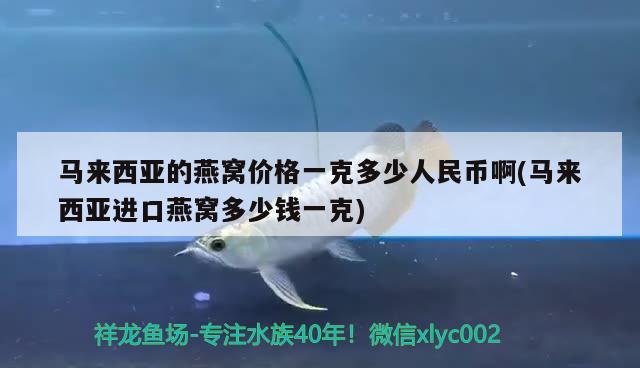 馬來西亞的燕窩價格一克多少人民幣啊(馬來西亞進口燕窩多少錢一克) 馬來西亞燕窩