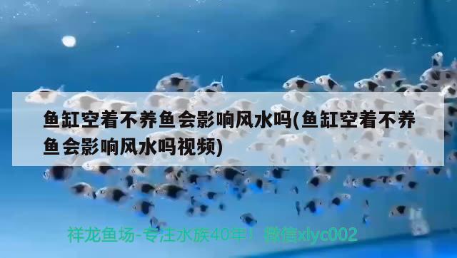 魚缸空著不養(yǎng)魚會影響風水嗎(魚缸空著不養(yǎng)魚會影響風水嗎視頻)