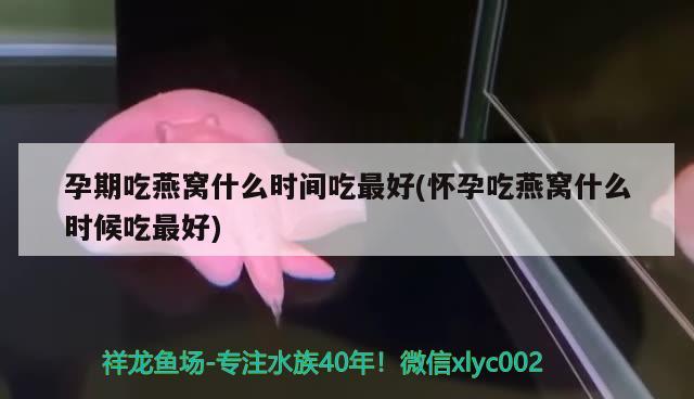 90*45*60厘米的魚缸需要拉筋嗎，自制80*65*55魚缸8公分魚缸要拉筋包邊不 養(yǎng)魚的好處 第1張